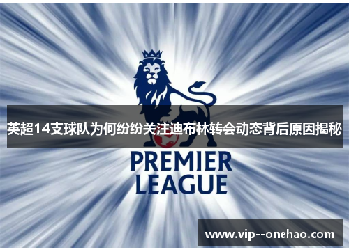 英超14支球队为何纷纷关注迪布林转会动态背后原因揭秘 英超14支球队为何纷纷关注迪布林转会动态背后原因揭秘