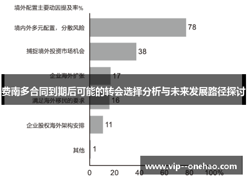 费南多合同到期后可能的转会选择分析与未来发展路径探讨